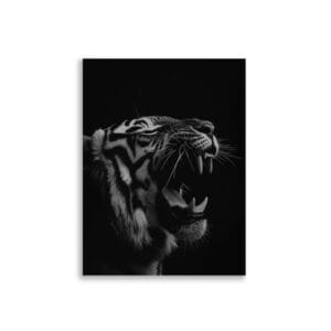 Black tiger | Juliste