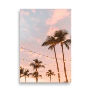 Palmut ilta-auringossa | Juliste